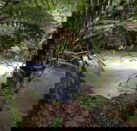 Marriotts Falls and Junee Caves - Accommodation China
