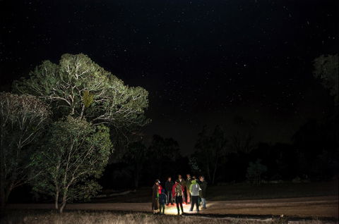 Mulligans Flat Woodland Sanctuary - Accommodation Asia 1
