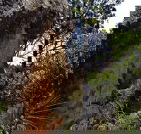 Mystery Face Walking Track - Accommodation Asia