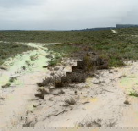 Ngarkat Conservation Park - Accommodation Guide