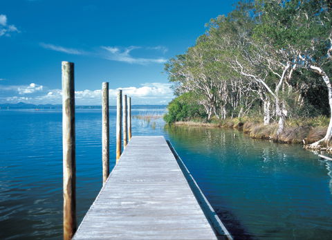 Noosa Everglades - Accommodation Guide 1