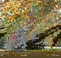 Noreuil Park - Accommodation China