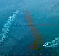 Port Noarlunga Reef Sanctuary Zone - Encounter Marine Park - Accommodation China