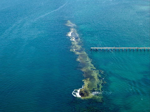 Port Noarlunga Reef Sanctuary Zone - Encounter Marine Park - Accommodation Guide 0