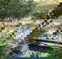 Rockhampton Botanic Gardens - Accommodation Asia