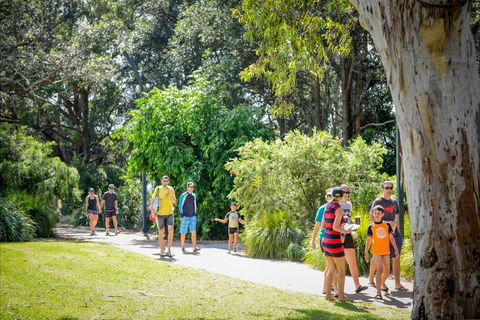 Round The Bay Walking Track: Huskisson To Vincentia - Accommodation Asia 1