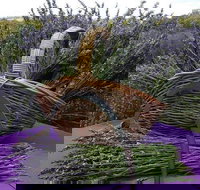 Rustique Lavender Farm - Accommodation China