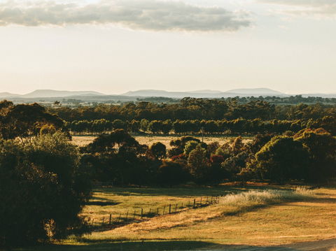 Rutherglen Wine Bottle - Accommodation Guide 2