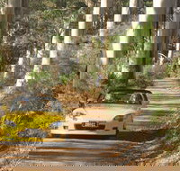 Scotsdale Tourist Drive - Accommodation Guide