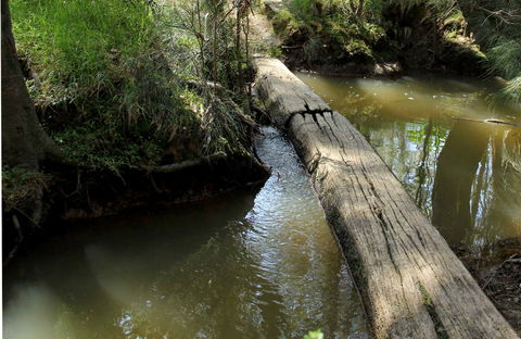 Second Ponds Creek Walk - Accommodation Asia 0
