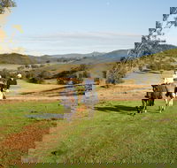 Tamworth and Kootingal Horse Riding Adventures - Accommodation Asia
