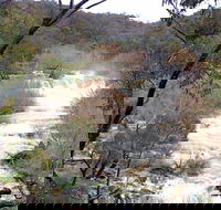 The Falls Water Falls - Accommodation Asia