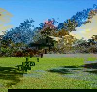 Tunks Hill picnic area - Accommodation Guide