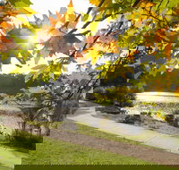 Wentworth Falls Lake - Accommodation Asia