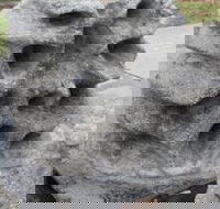 Windara Reef - Accommodation Guide