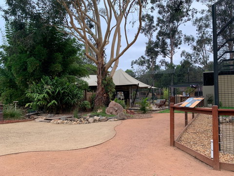 Zambi Wildlife Retreat - Accommodation Asia 2