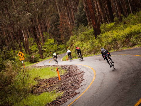 7 Peaks Ride - Lake Mountain - Accommodation Asia 1