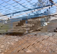 Aboriginal Carvings - Accommodation China