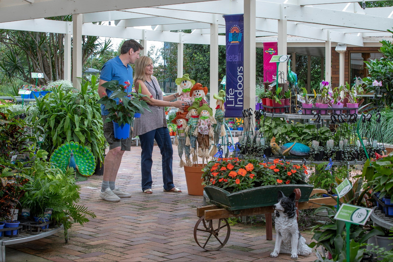 Adare QLD Accommodation Asia