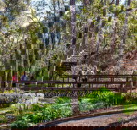 Armadale - Accommodation Guide