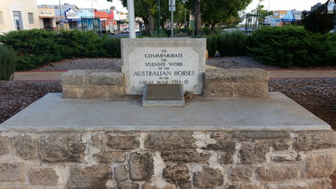 Barmera Horse Trough - Accommodation Guide 0