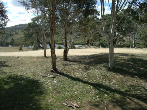 Bombala Platypus Reserve - Accommodation Asia 0