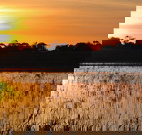 Bool Lagoon Game Reserve and Hacks Lagoon Conservation Park - Accommodation Guide