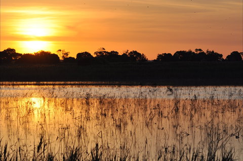 Bool Lagoon Game Reserve And Hacks Lagoon Conservation Park - Accommodation Guide 0
