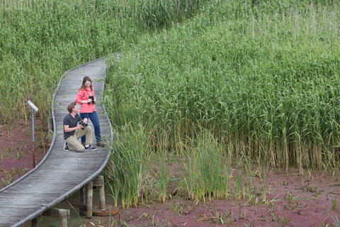 Bool Lagoon Game Reserve And Hacks Lagoon Conservation Park - Accommodation Guide 2