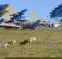 Calmsley Hill City Farm - Accommodation Asia