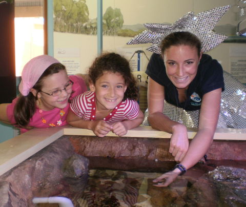 Central Coast Marine Discovery Centre - Accommodation Guide 0