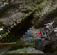 Day trips from Rockhampton - Accommodation China