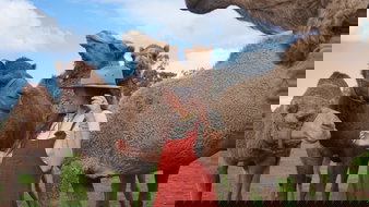 Book Perth WA Attractions Accommodation China Accommodation China