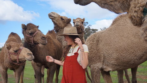 DromeDairy Body And Skin - Accommodation Asia 0