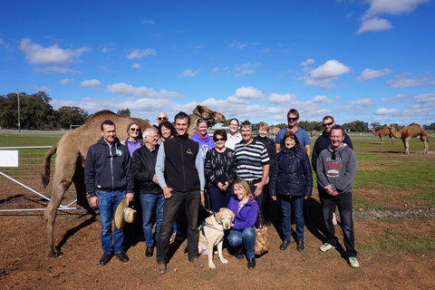 DromeDairy Body And Skin - Accommodation Asia 1