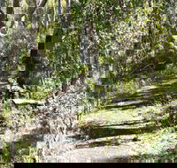 Euglah Rock Walking Track - Accommodation Asia