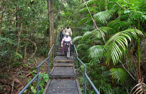Falls Walking Track - Accommodation Asia 0