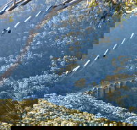 Forest Walk to Sublime Point Track - Accommodation Guide