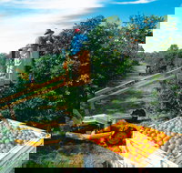 Gayndah's Big Orange - Accommodation Asia