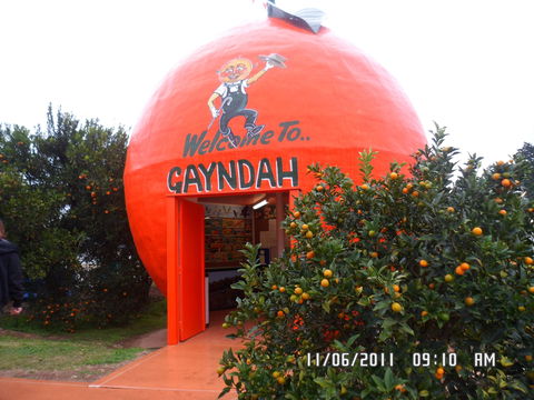 Gayndah's Big Orange - Accommodation China 2