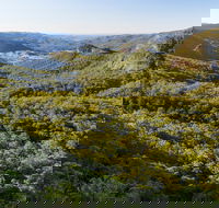 Gold Coast Hinterland Great Walk - Accommodation Guide