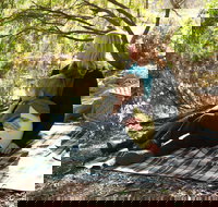 Haig Street Quarry Bushland Reserve Trails - Accommodation China