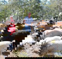 Haigslea EWE Nique Hobby Farm - Accommodation Guide