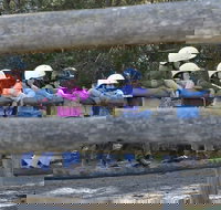 Harlow Park Horse Riding - Accommodation China