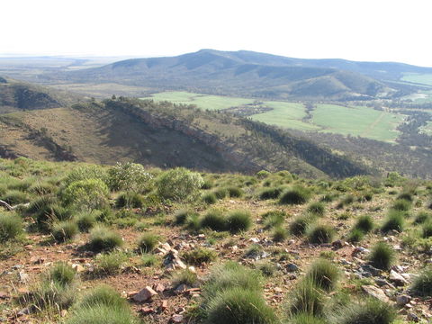 Horseshoe Rim 4WD Adventure Track - Accommodation Asia 0