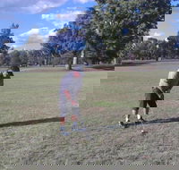 Inverell Golf Club - Accommodation Asia