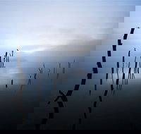 Jounama Creek Walking Track - Accommodation China