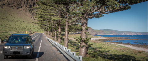 Lady Bay Beach - Accommodation Asia 0