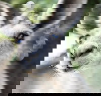 Lochern National Park - Accommodation Guide