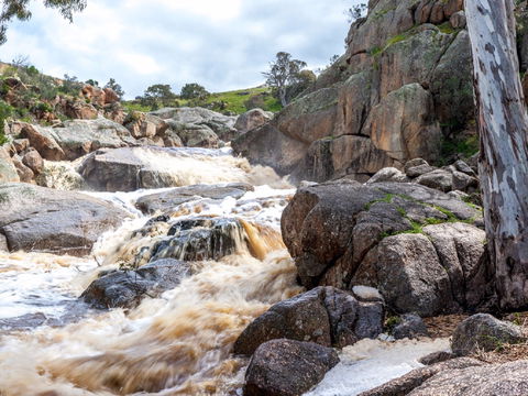 Mannum Waterfalls - Accommodation Guide 0
